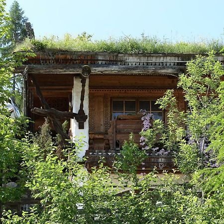 Chalet Alm Planai Schladming Kültér fotó